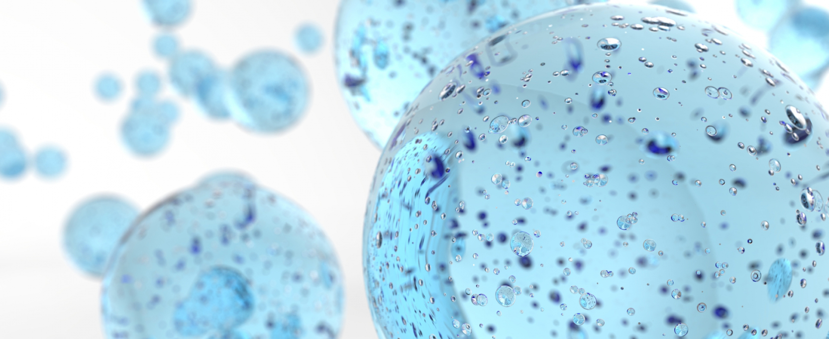 慶應義塾大学医学部 坂口記念講座 消化器生体機能解析多次元解析講座